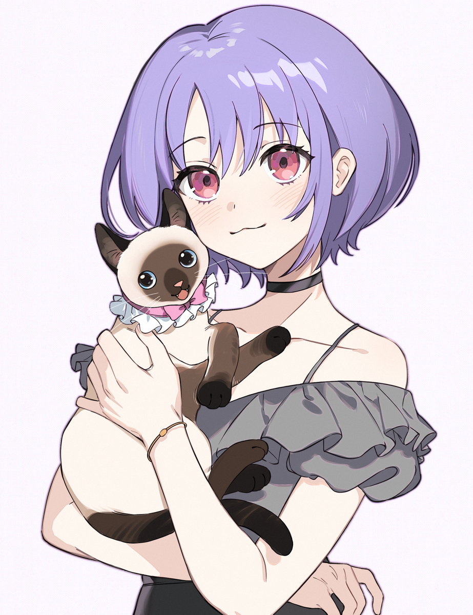 猫猫天国