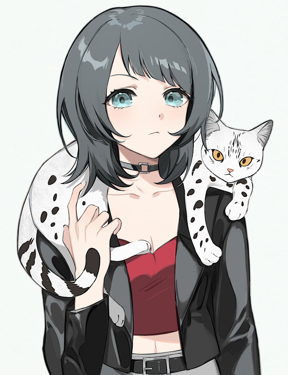 猫猫天国