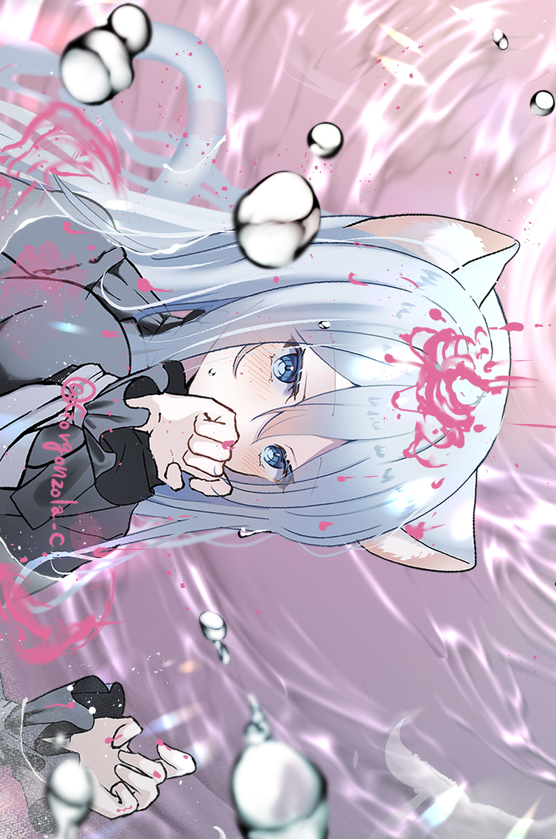 にゃーご