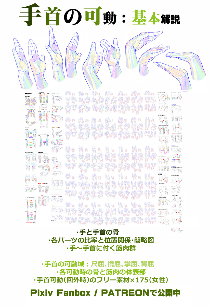 個人メモ：手と手首の連結部の立体感