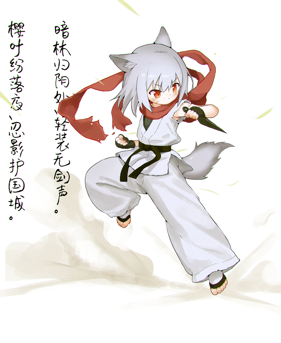 空手忍者娘~