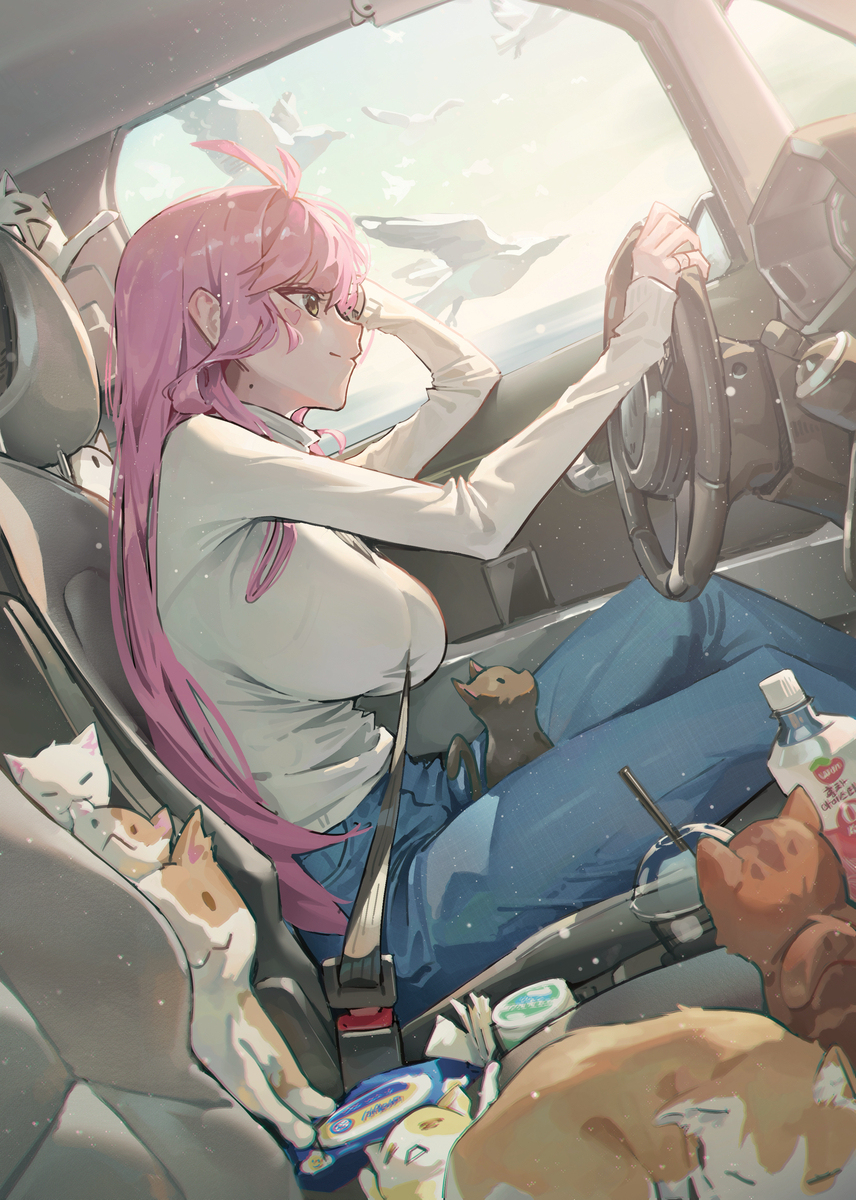 drive