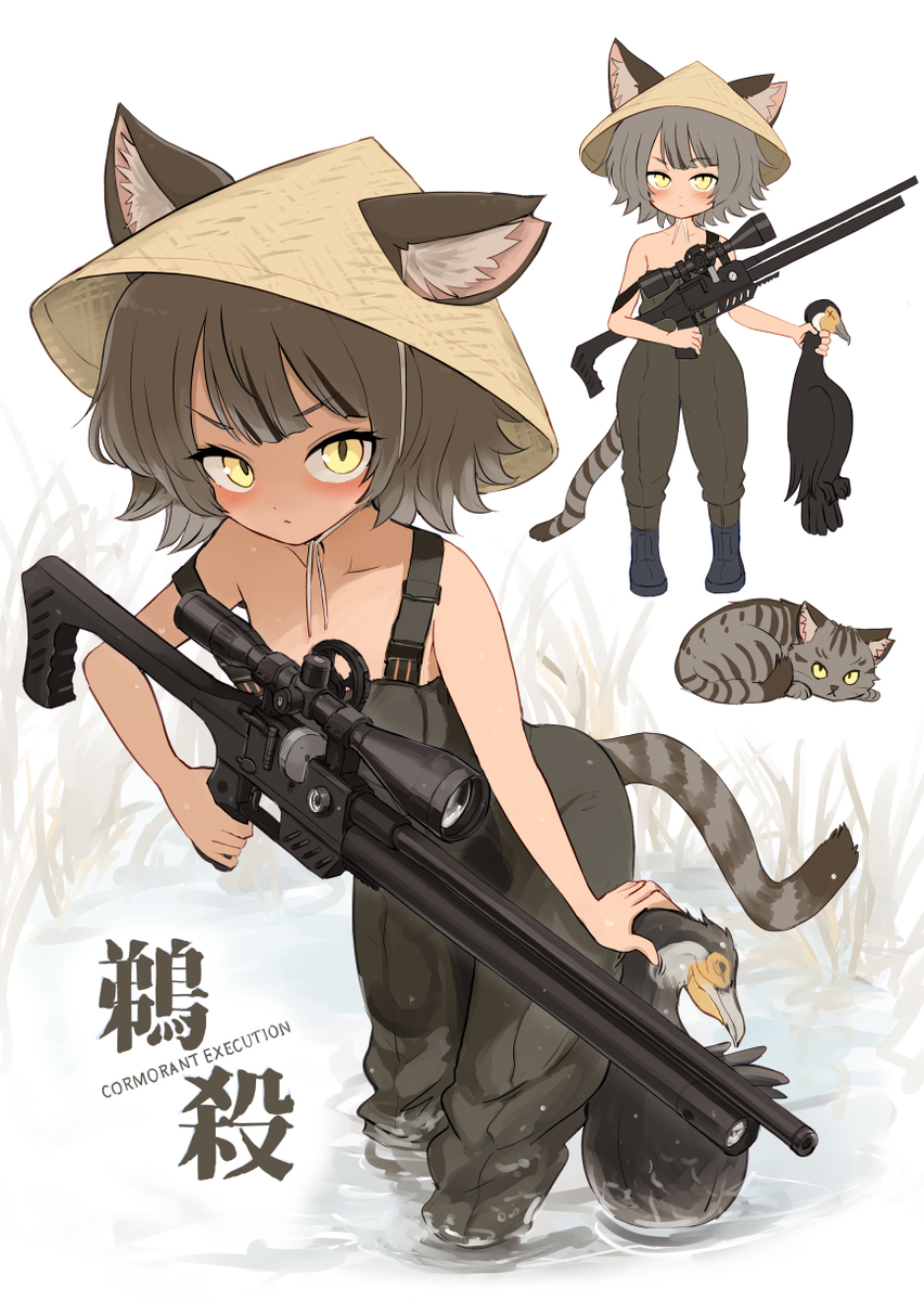 漁協組合の猫
