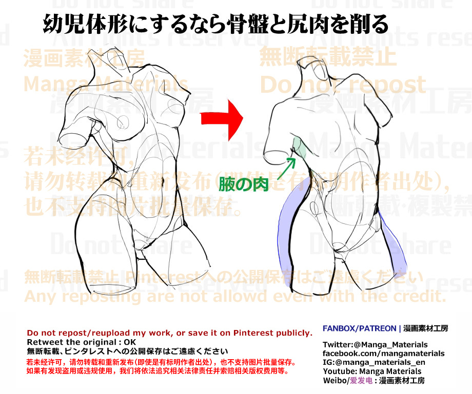 個人メモ：立体感のある胴体を描く