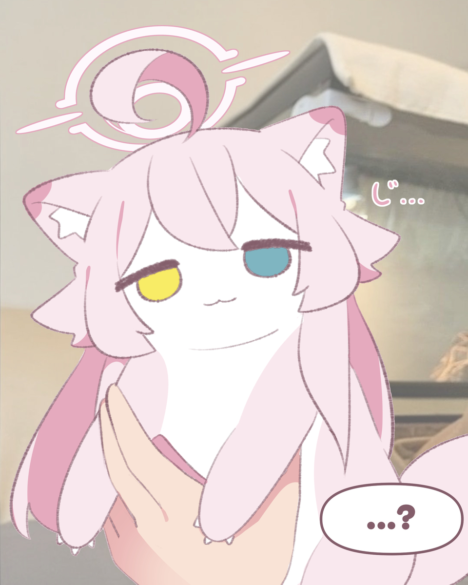 うへ~愛嬌攻撃~🩷ホシノイタチ !!
