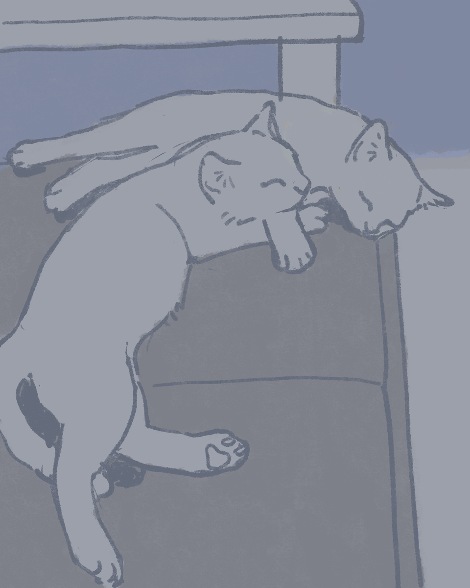 いろいろ202503