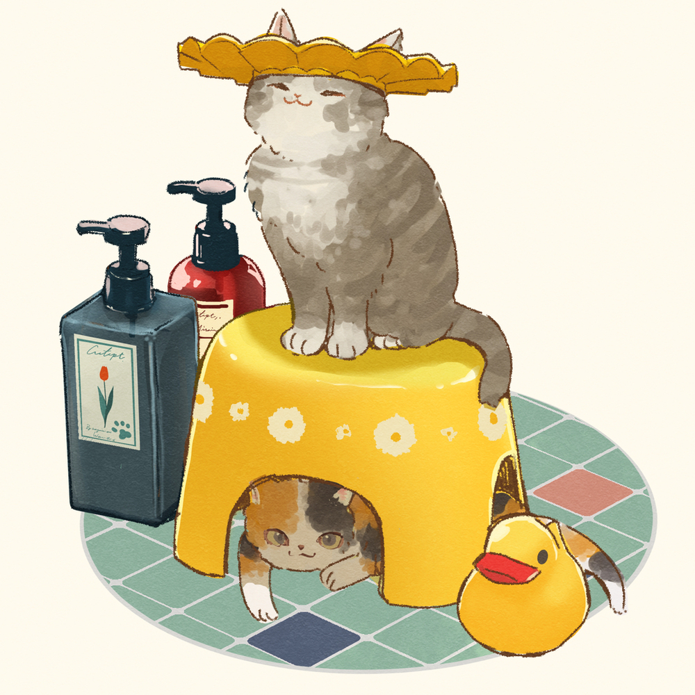 シャンプーハット🧴🐈