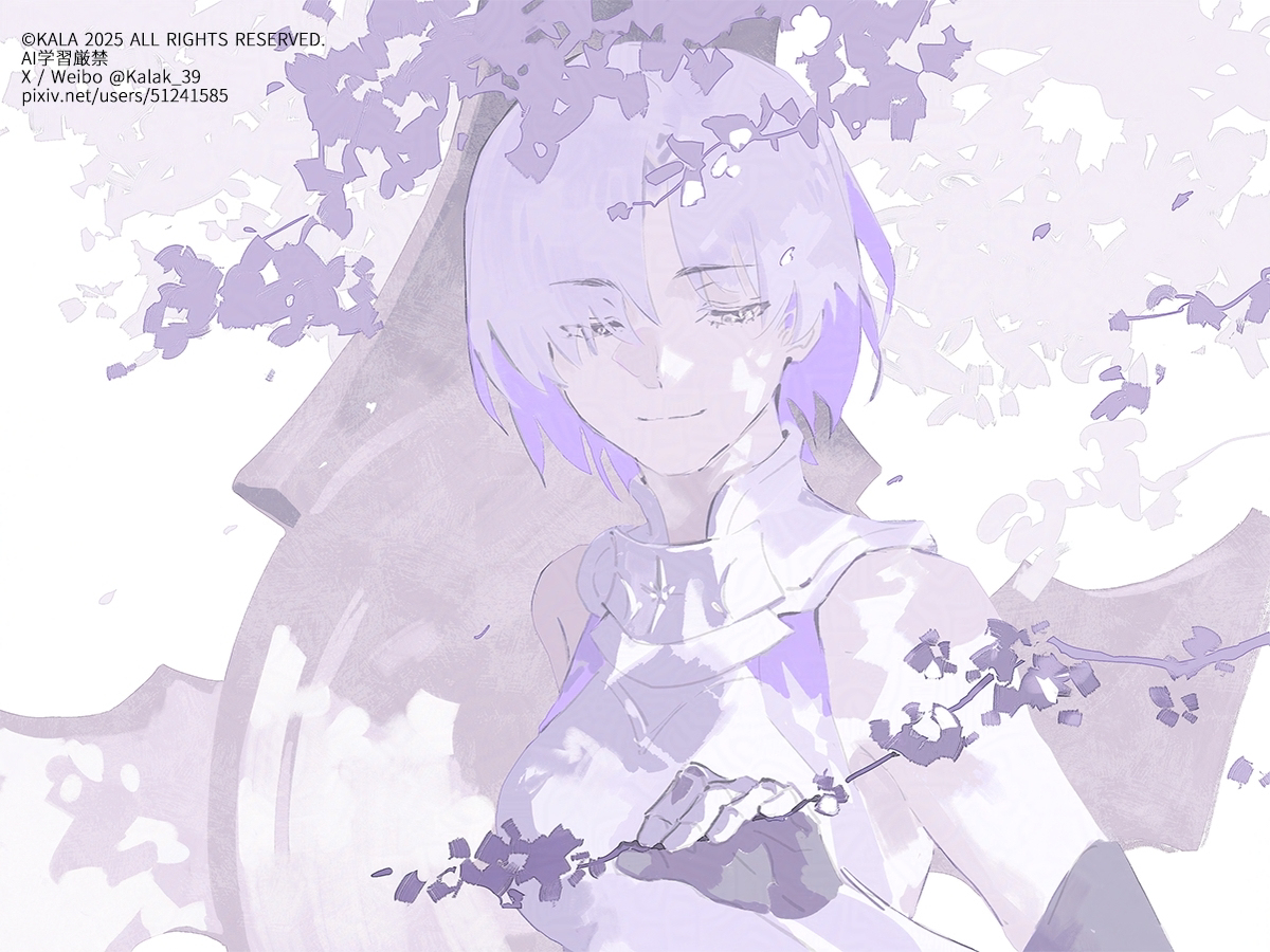 Shielder Paladin