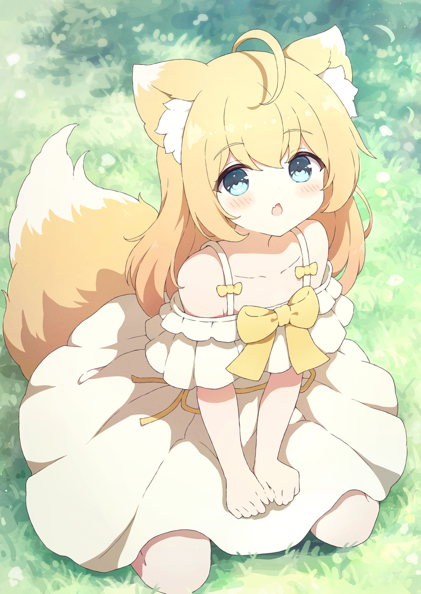 もふ🦊☀️