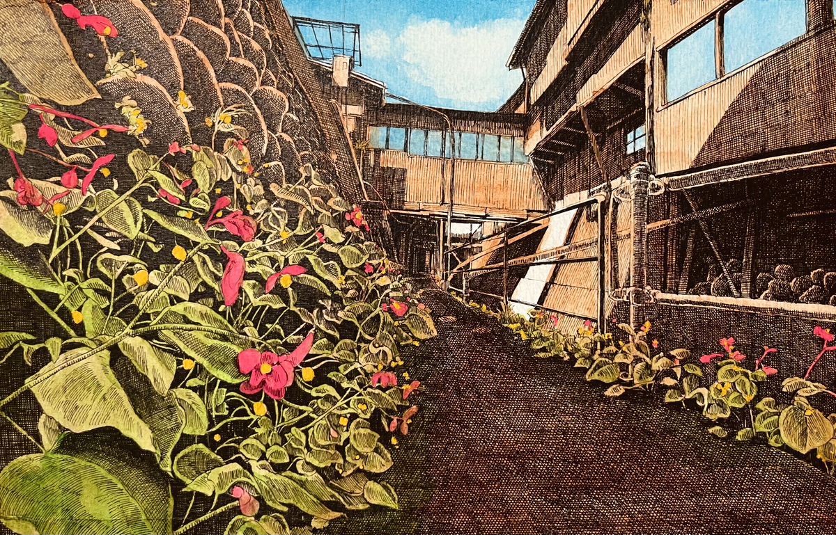 路地裏に咲く