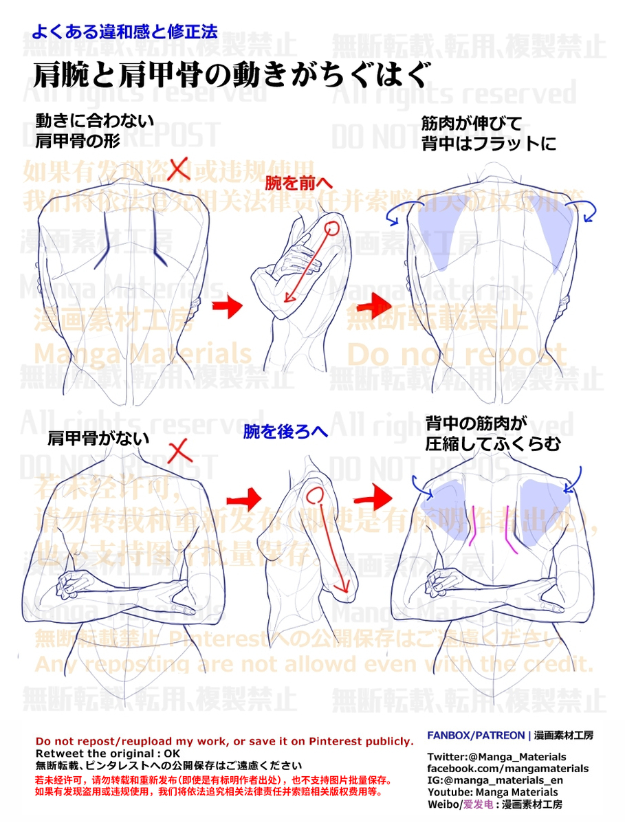 個人メモ：肩甲骨の動き