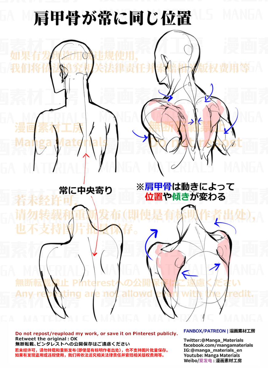 個人メモ：肩甲骨の動き