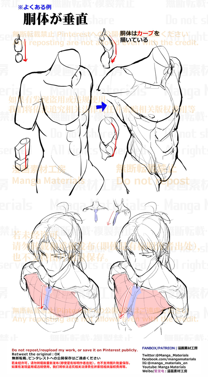 個人メモ：胴体はカーブを描く