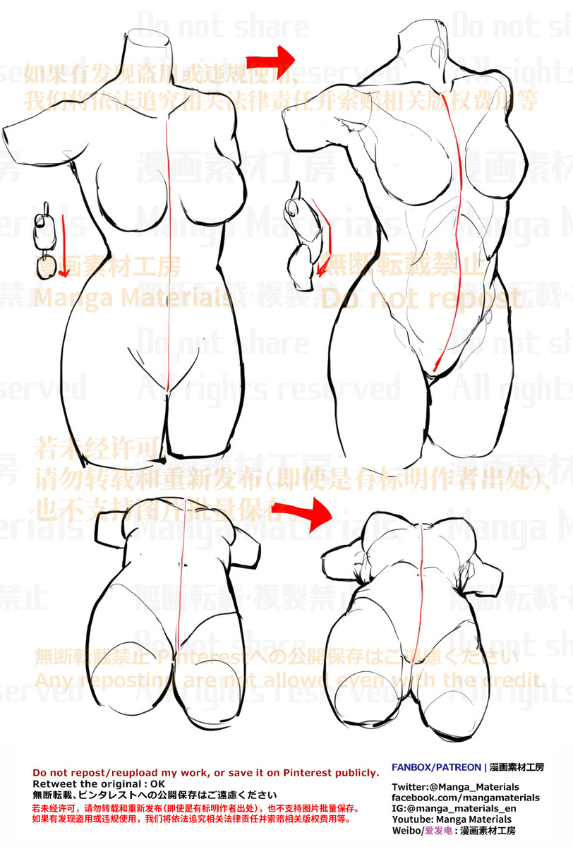 個人メモ：胴体はカーブを描く