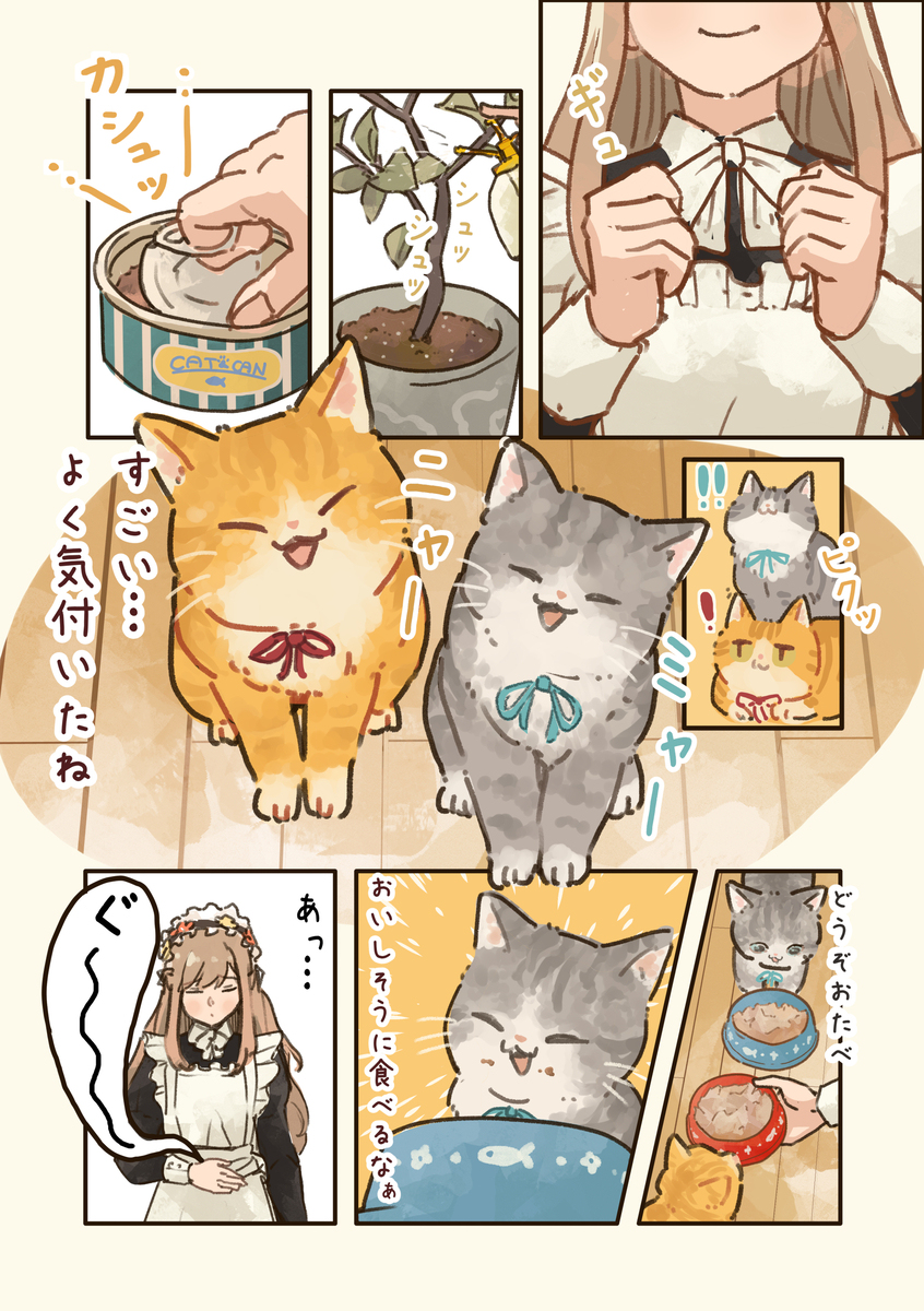 ごはんの音🥫🐈