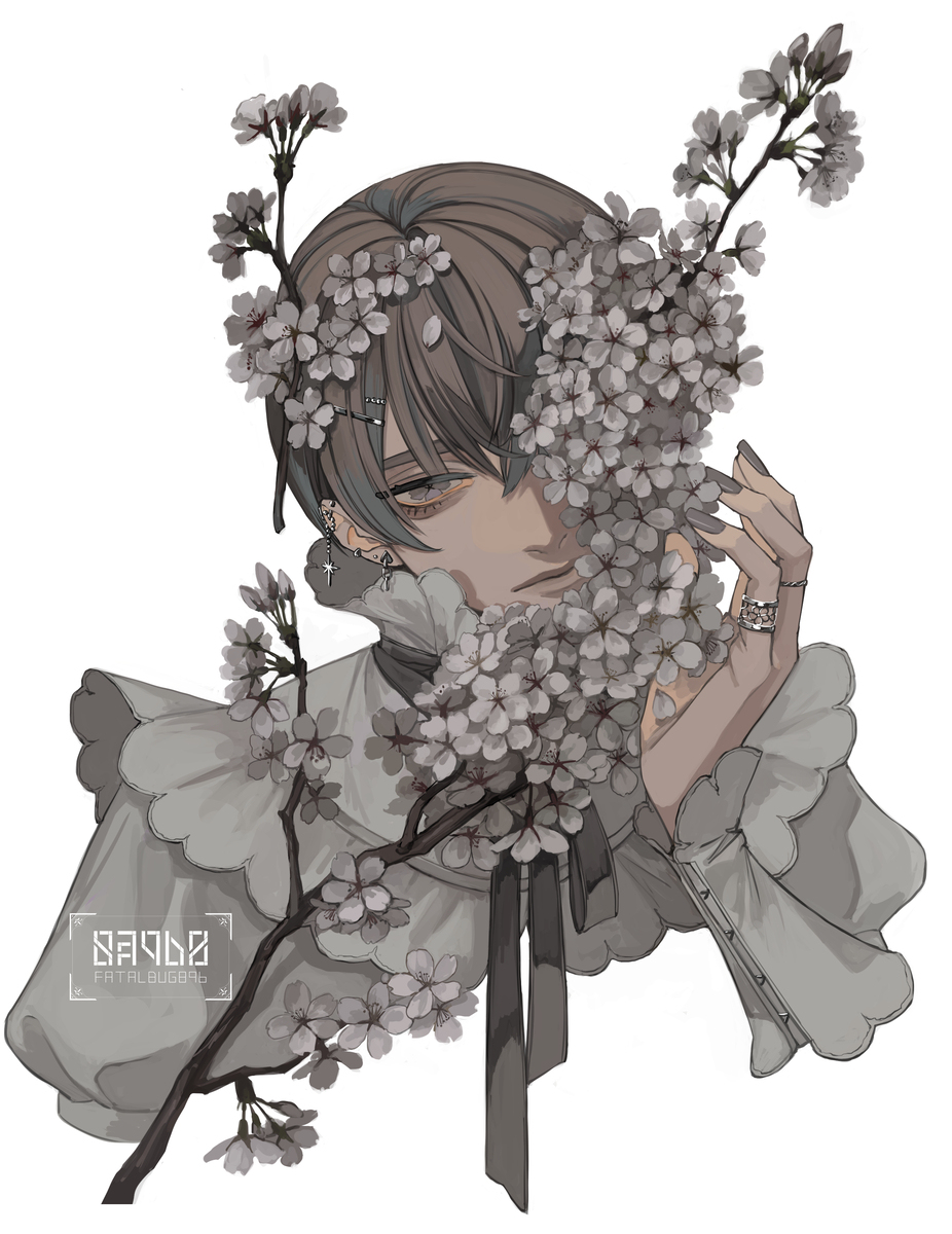 桜は灰色