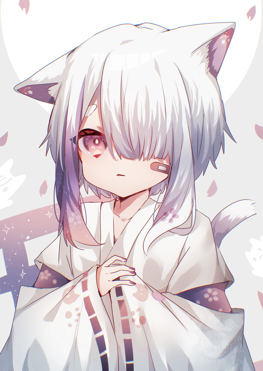 夜桜色の猫耳巫女くん
