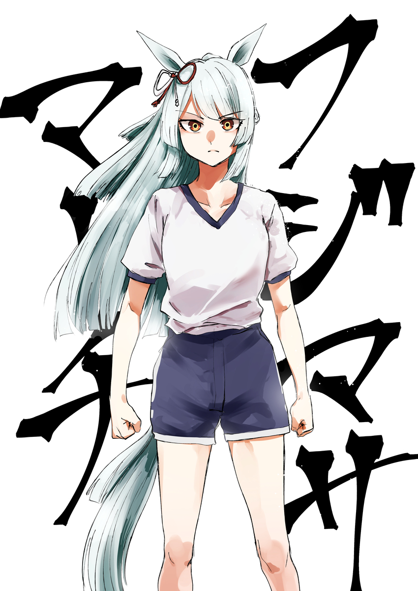 フジマサマーチ