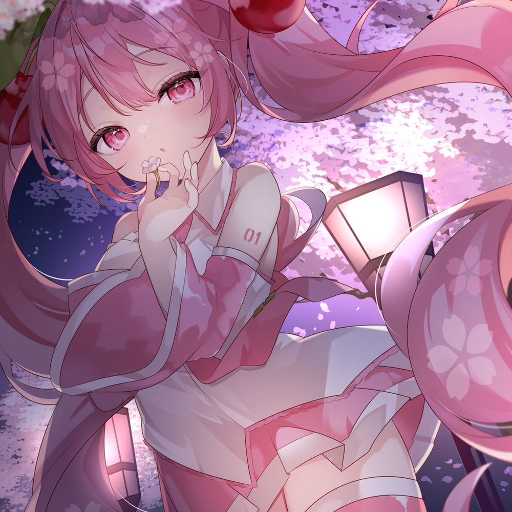 夜桜の中で