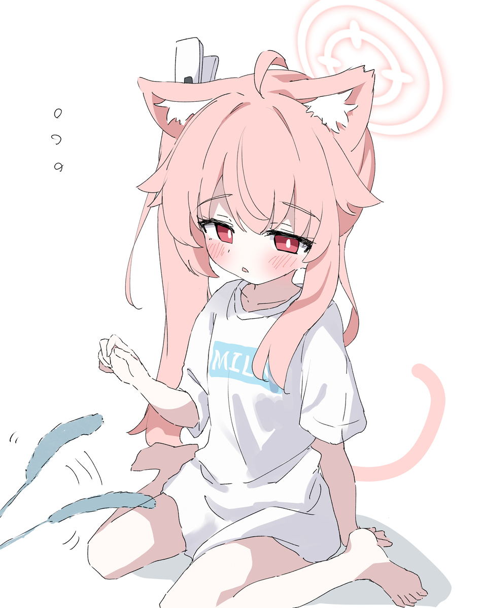猫ナツ