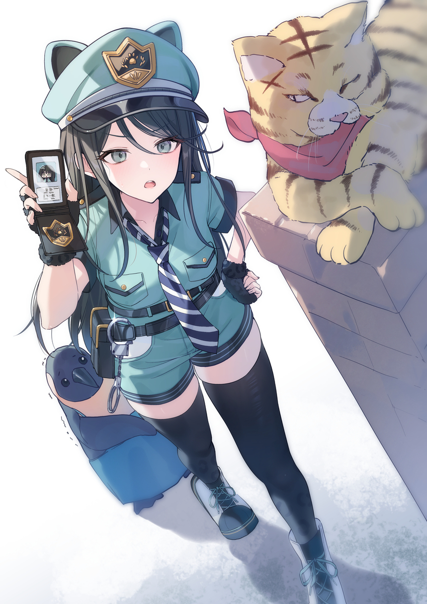 14日目，🚓🐱