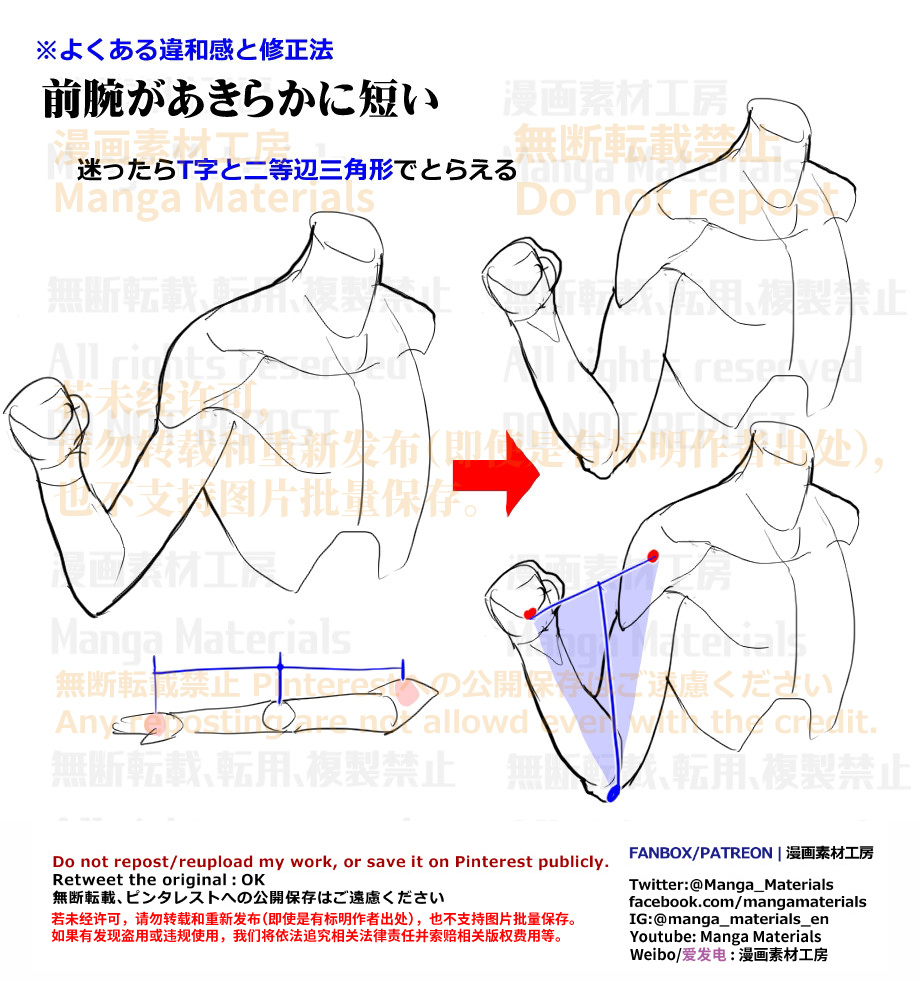 個人メモ：曲げた腕の比率