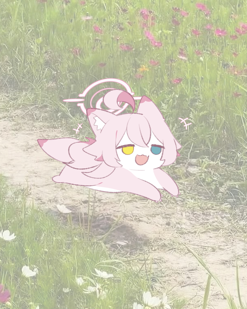 ぴょんぴょん🩷ホシノイタチ !!