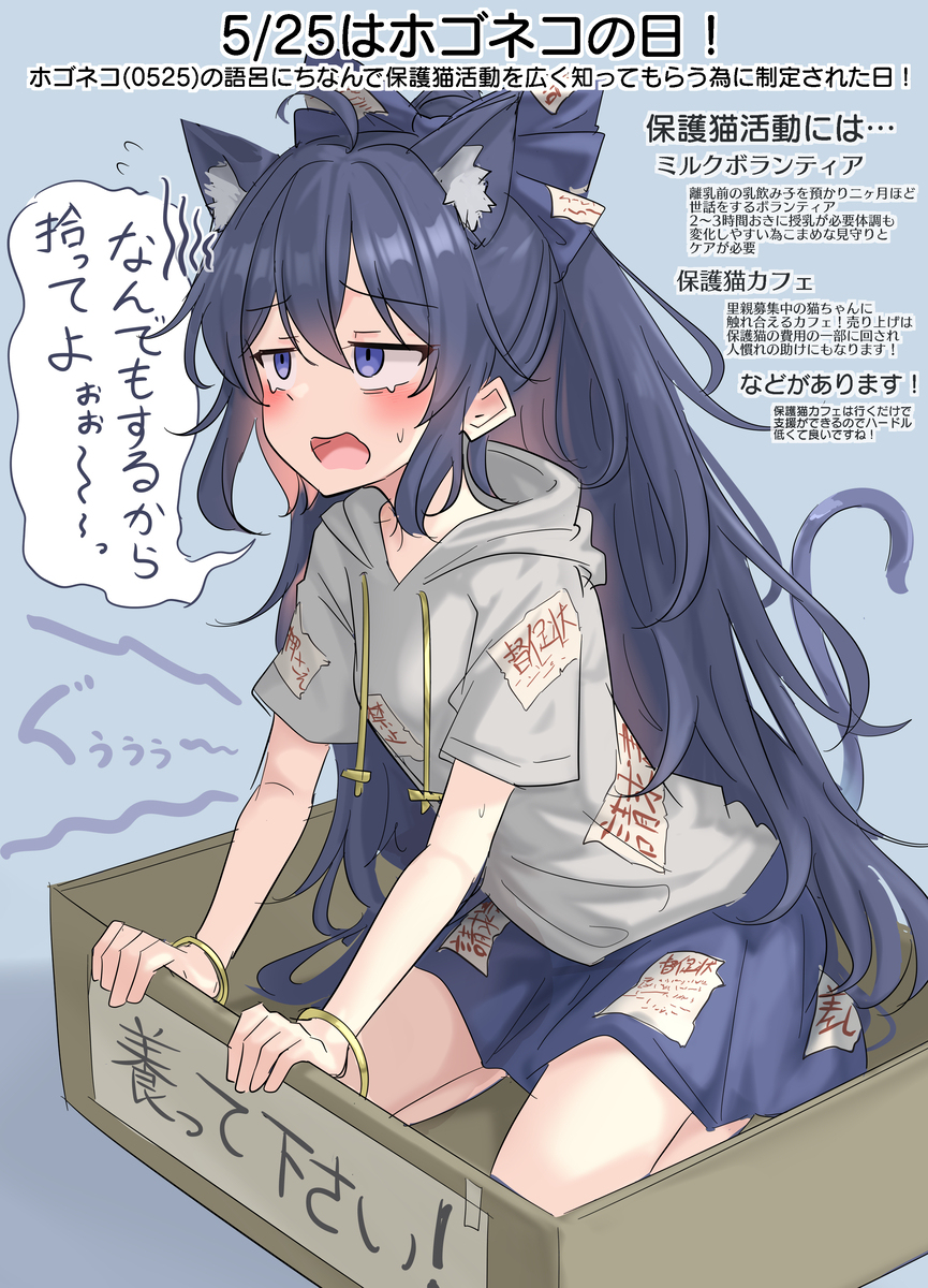 5/25はホゴネコの日！