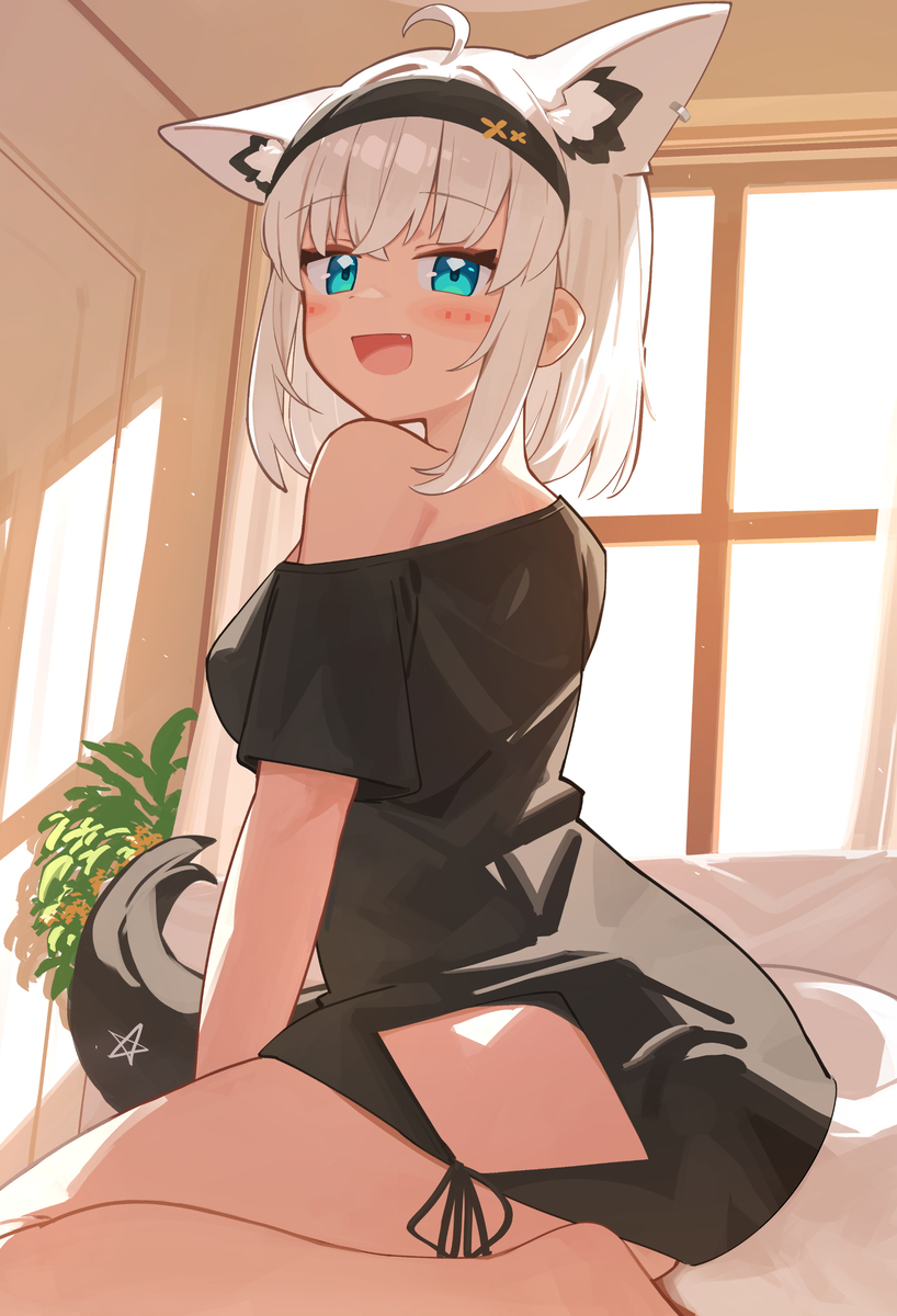 フブちゃん