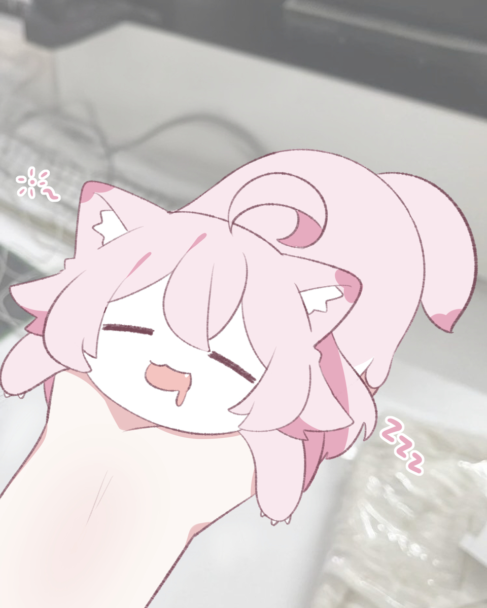 なでなでしてく..れ ~ zzz..🩷 ホシノイタチ !!