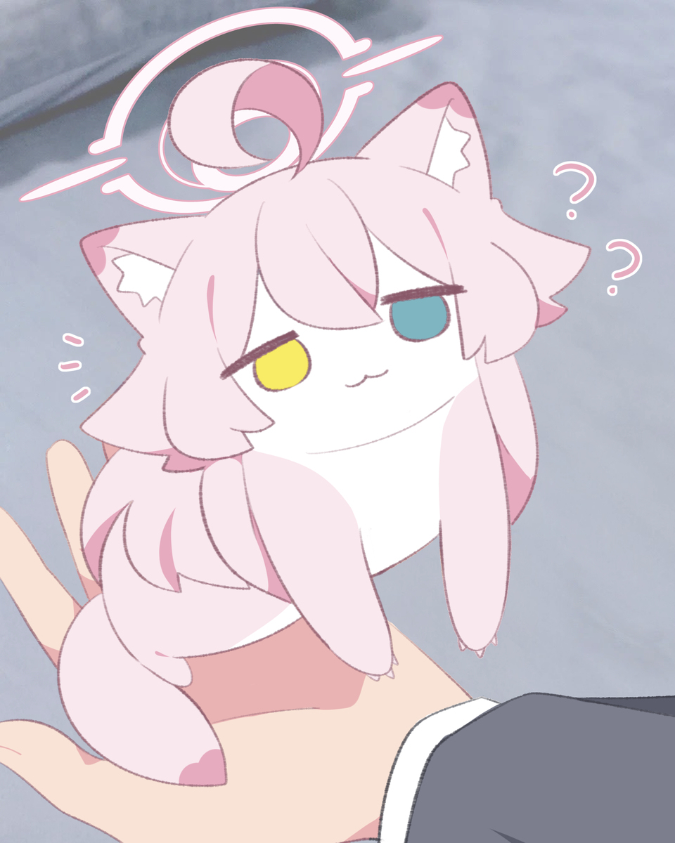 うへ~ほっぺが伸びるよ~🩷ホシノイタチ !!