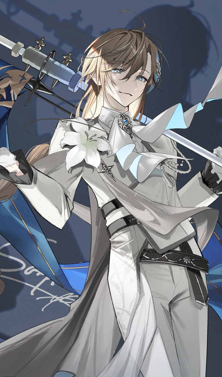 ChroNoiR