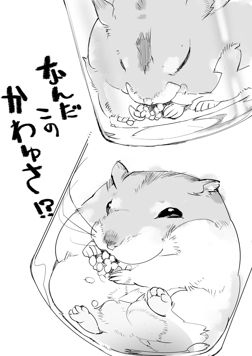 パスワードを思い出した！
