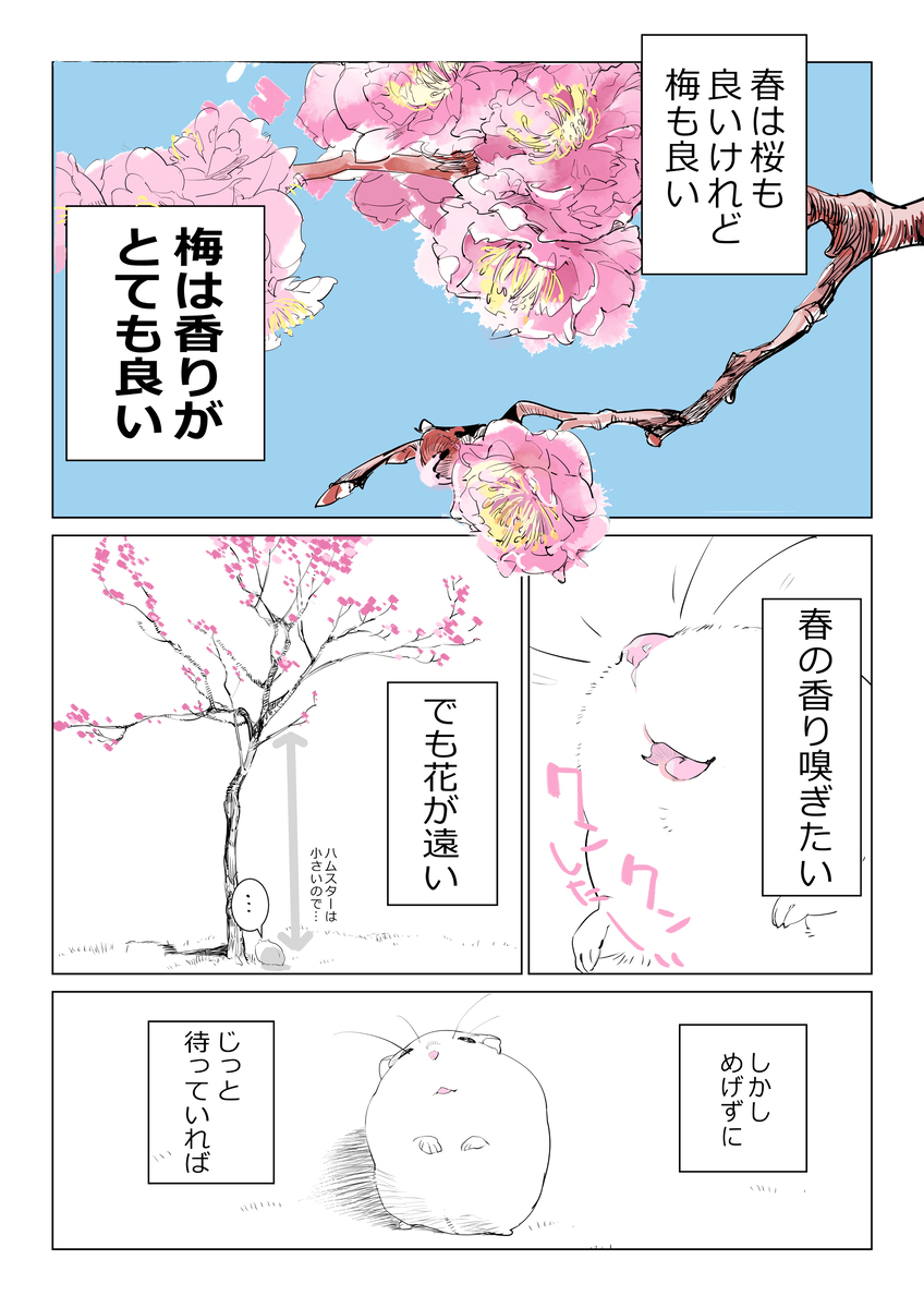 春と雨降りハムちゃん
