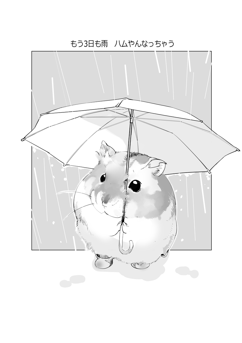 春と雨降りハムちゃん