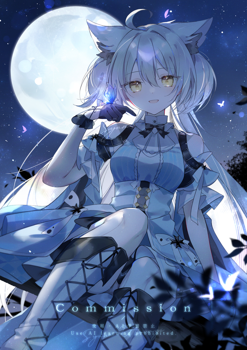 🌃🦋