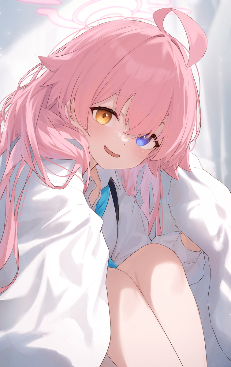 お布団ホシノ