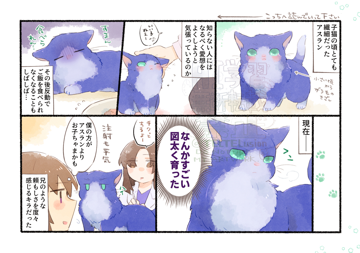 【web再録】しあわせはねこのかたち　ミニねこ図鑑