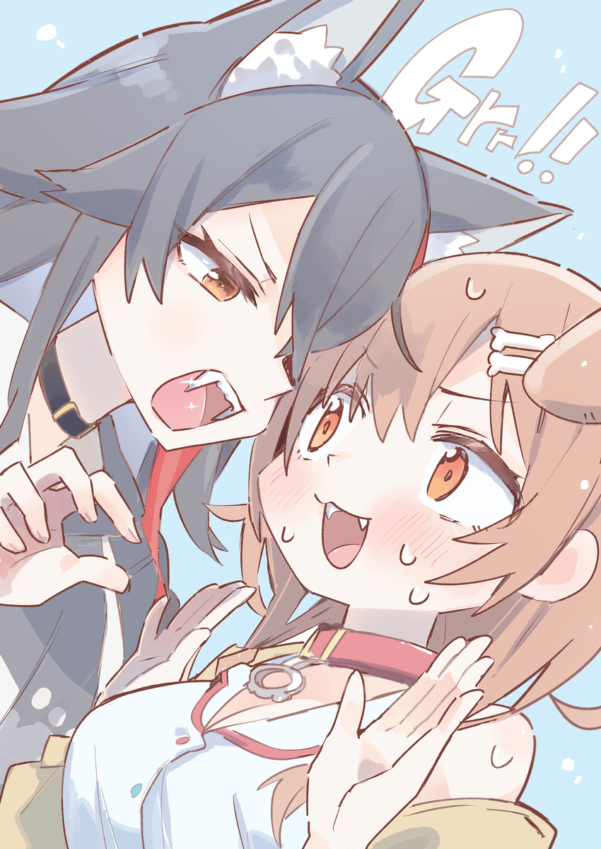 MaxDOG詰4枚