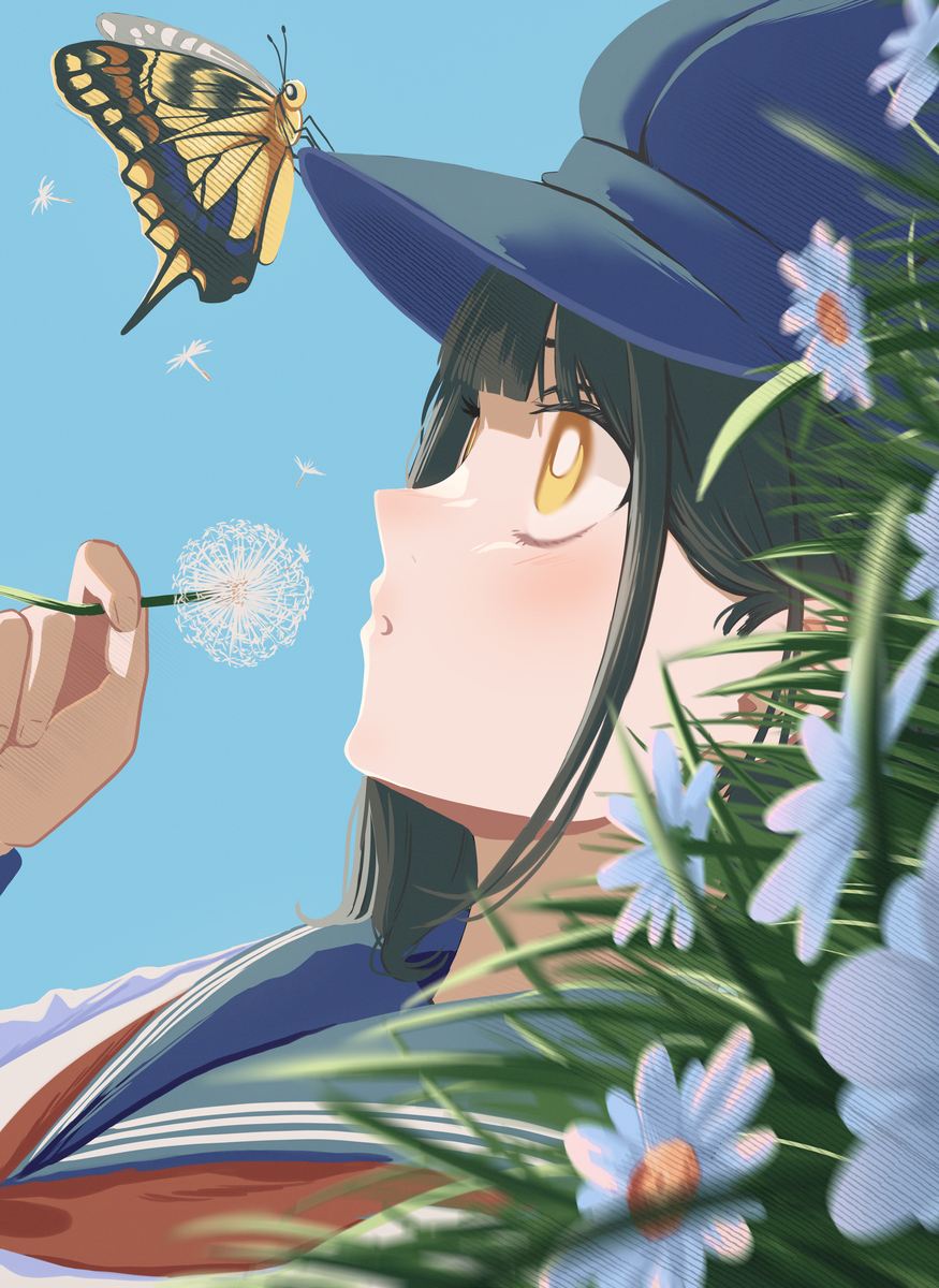 蝶