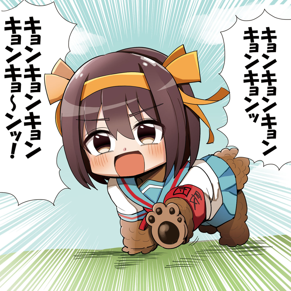 ハルヒ犬