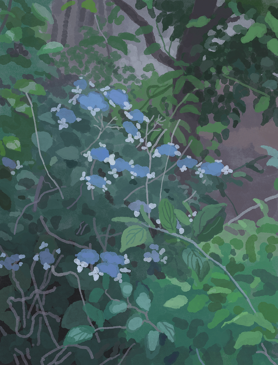 いろいろ202507