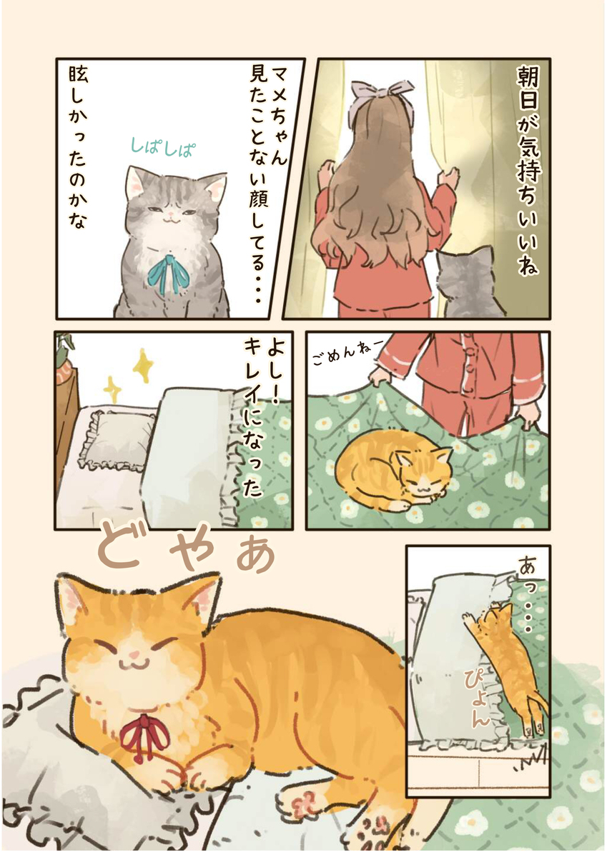 お布団キレイにしたのに…🐈🐾