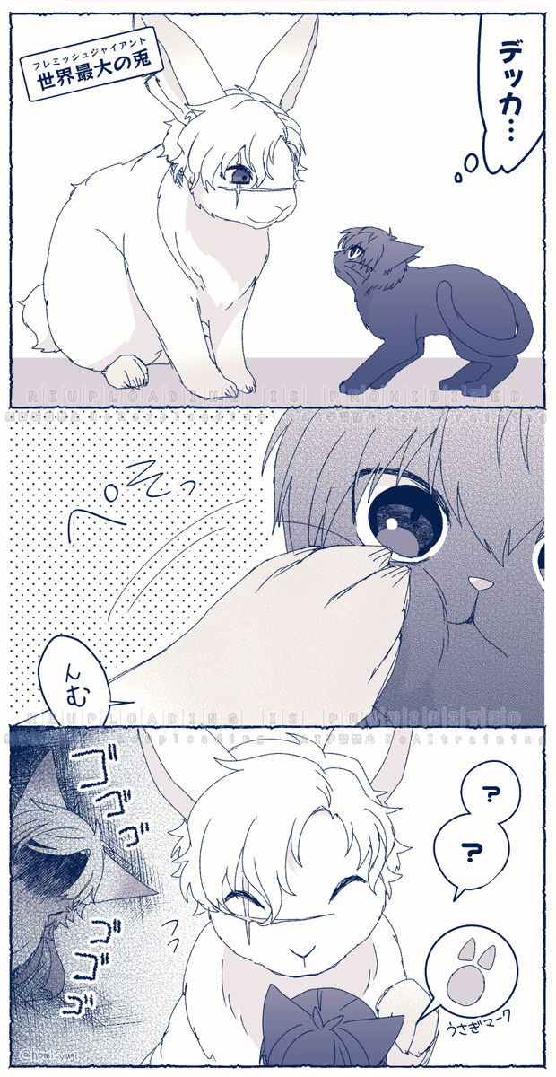 【腐】えごいすと達の小ネタ⑥【ブﾉﾚロ】