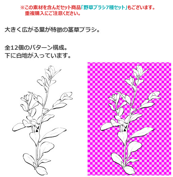 茎草ブラシ03