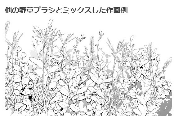 茎草ブラシ03