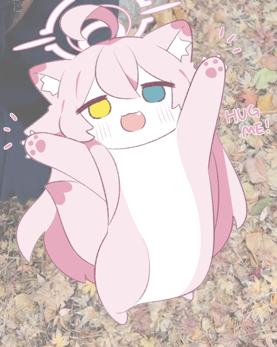 抱きしめて！🐾🩷ホシノイタチ !!
