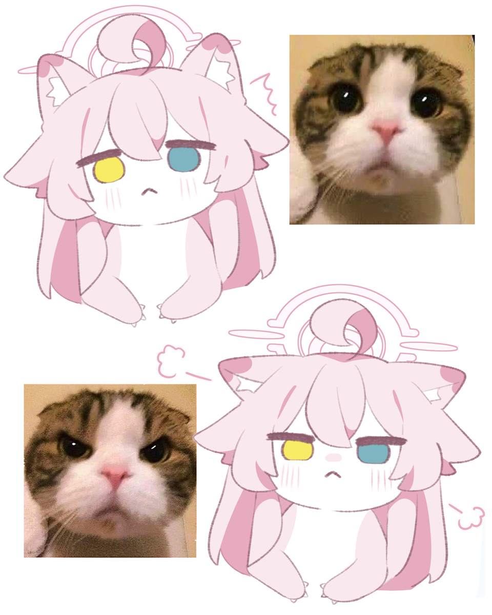 さまざまな感情表現🩷ホシノイタチ !!