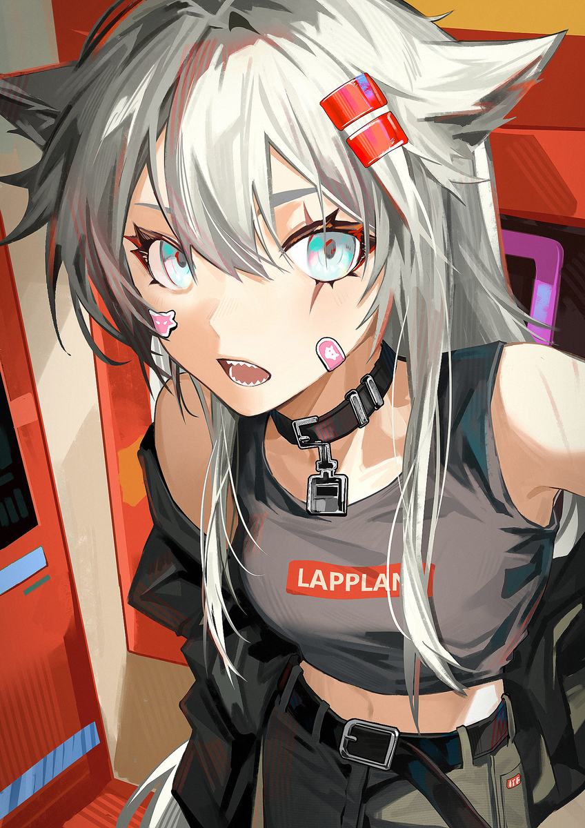 🐺lappy~~