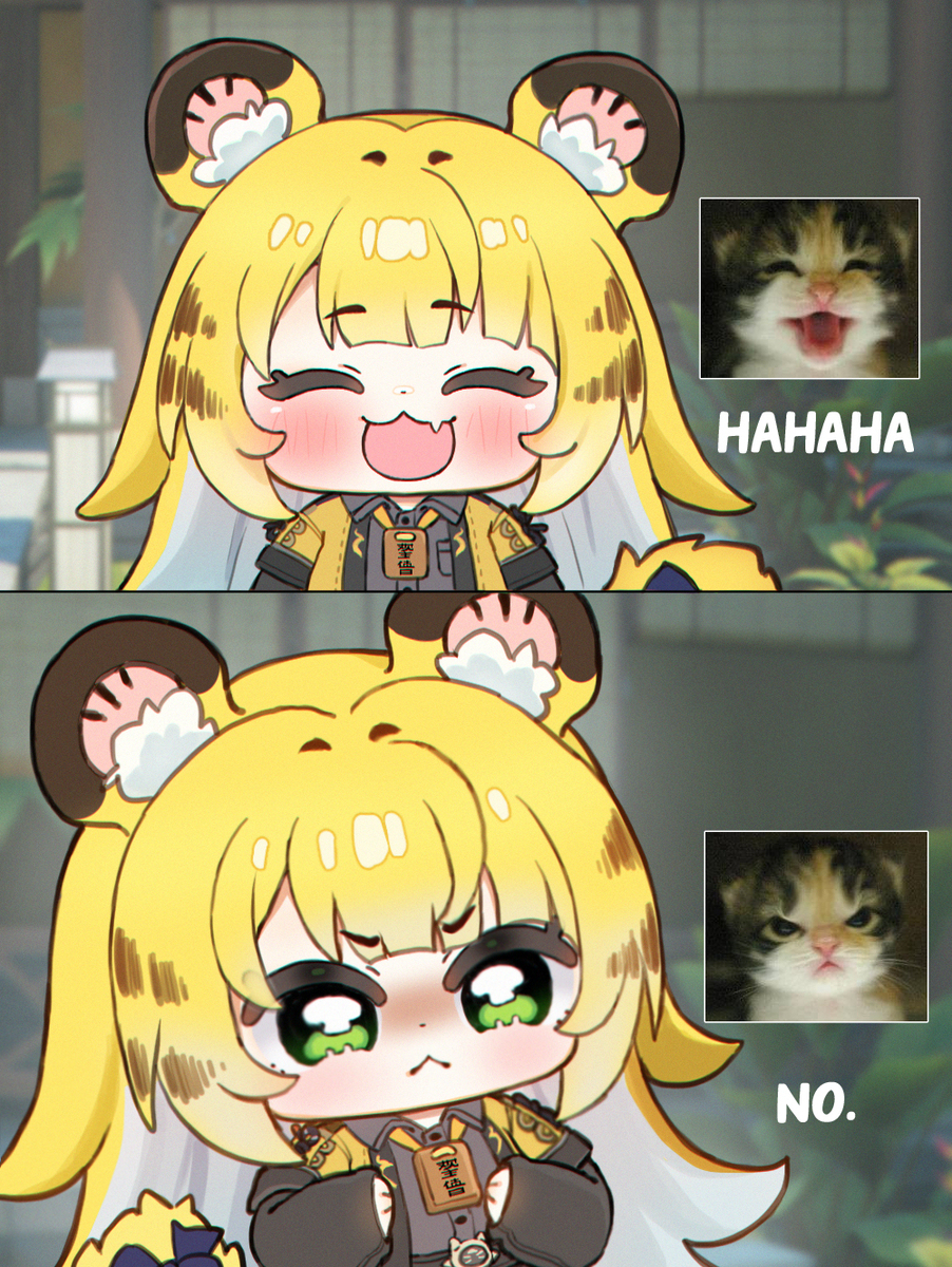 😸😾
